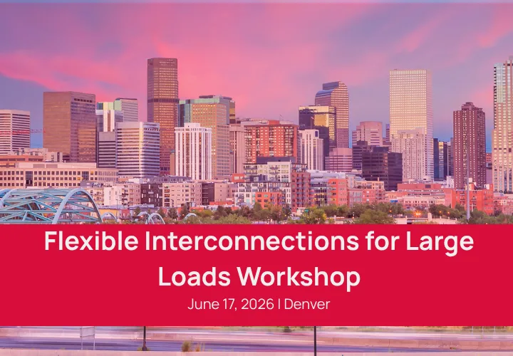 Long Lam: Flexible Interconnections for Large Loads: Regulatory and Tariff Considerations