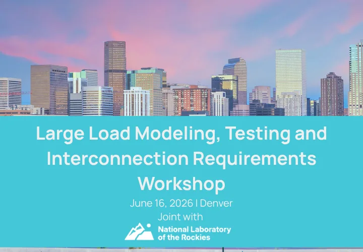 Flemming Johansen: Making Data Centers Grid Friendly